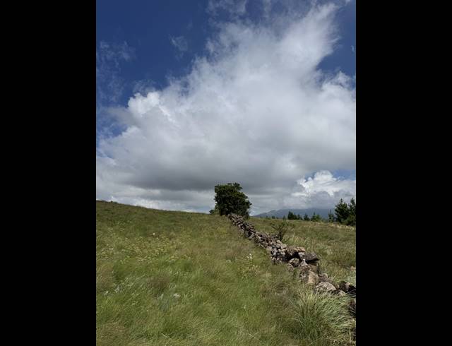 1,730HA FARM FOR SALE IN DARGLE